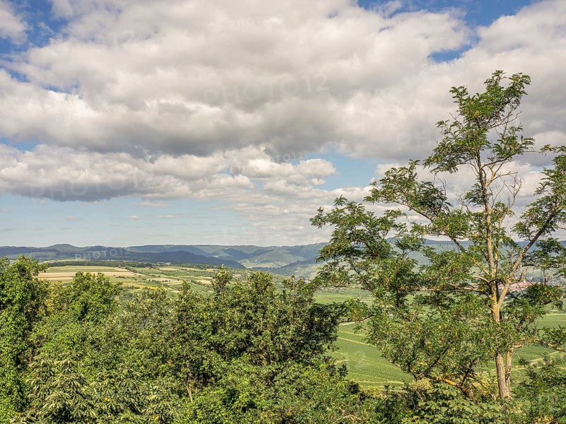 A landscape with dense clouds and sunny sections, trees in the foreground and mountains in the background, Dürnstein, Wachau, Danube, Austria, Europe