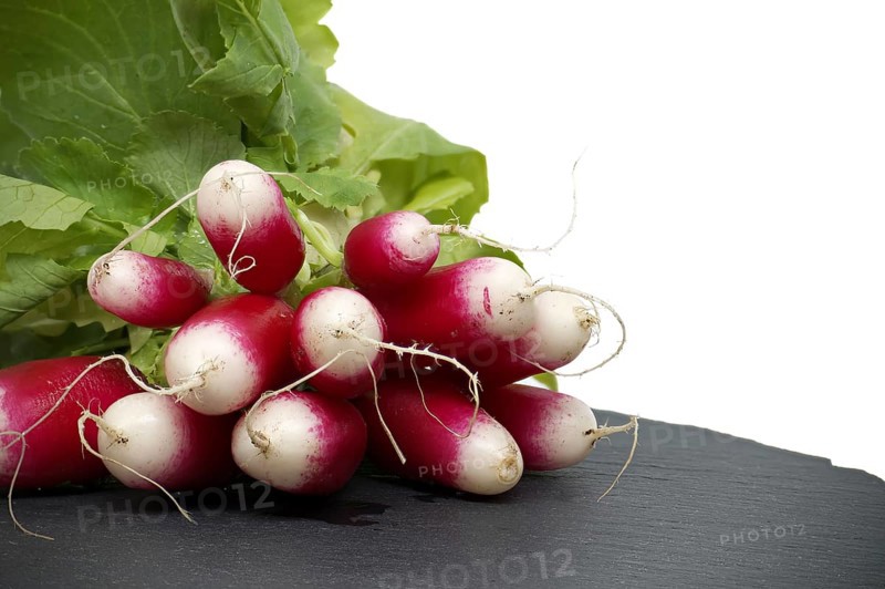 Fresh radish with leaves on black slate serving plate over white background. European radishes (Raphanus sativus)