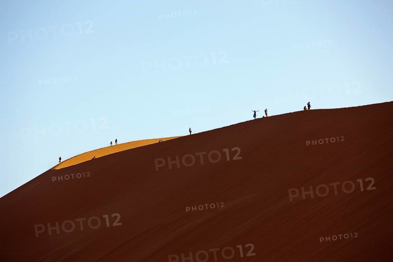 Dune 45 in Sossusvlei area, Namib Naukluft Park, Namibia, Africa