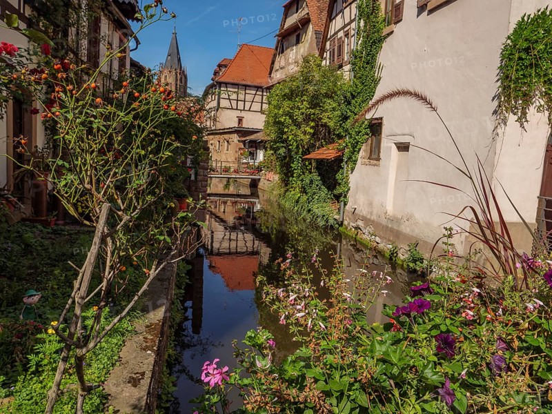 A picturesque river lined with flowers, with pretty half-timbered houses and a bridge, Weissenburg, Alsace, France, Europe