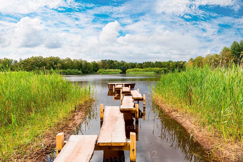 A footbridge leading to the lake, Burgwedel, Lower Saxony