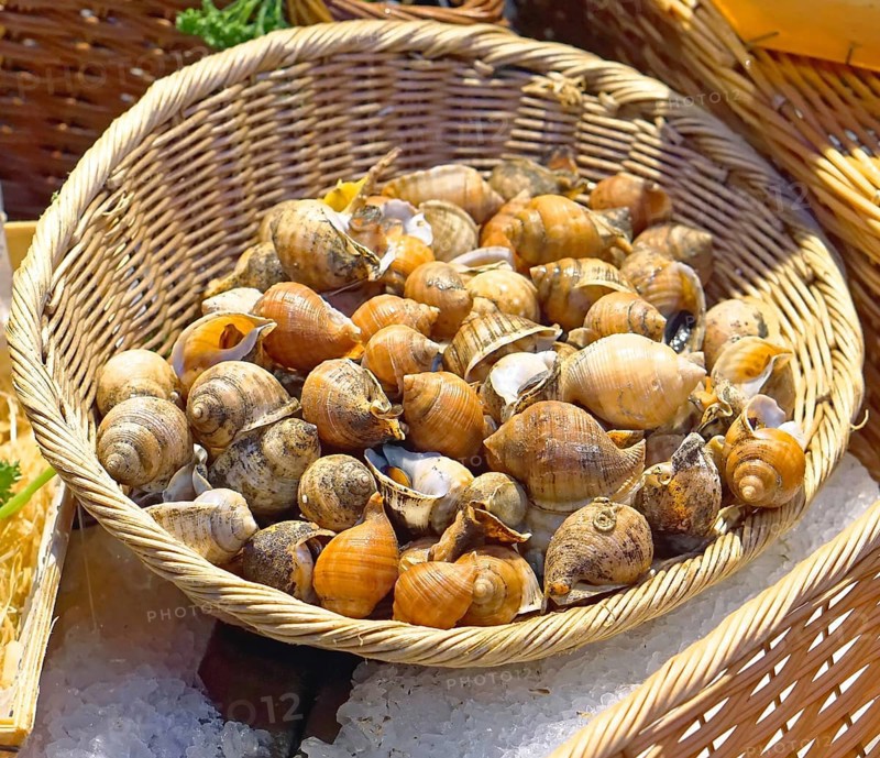 Edible snails in basket at french market