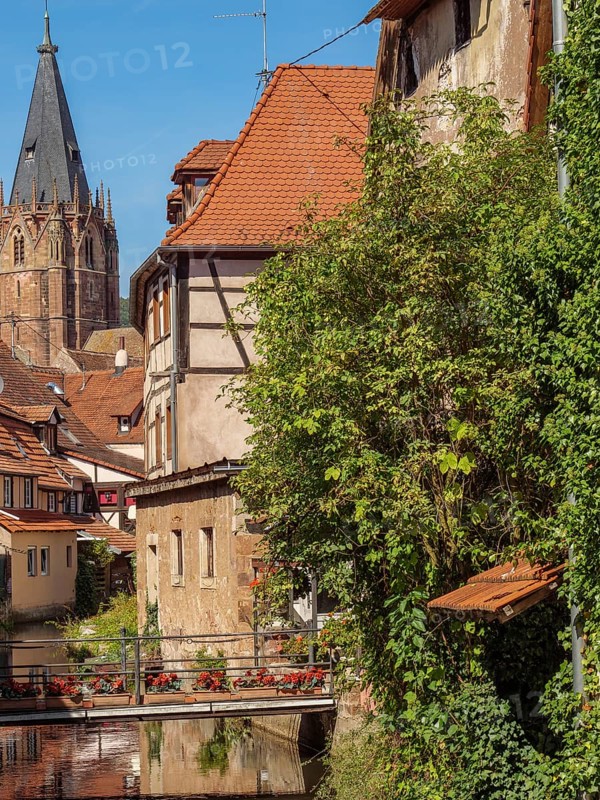 A picture of a picturesque neighbourhood with a church tower in the background, old buildings and many plants on the riverbank, Weissenburg, Alsace, France, Europe