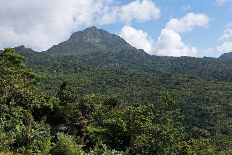 Landscape Morne Trois Pitons National Park, Caribbean, Dominica, Central America