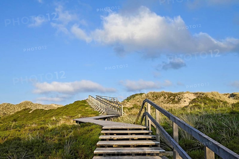 Boardwalk in the Amrum dunes nature reserve near Norddorf, Amrum, North Frisian Island, North Frisia, Schleswig-Holstein, Germany, Europe