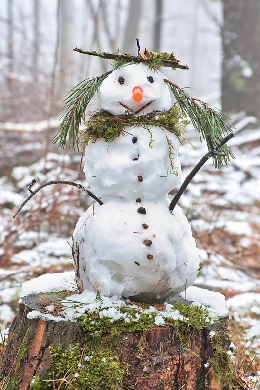 Snowman on a tree stump with a carrot for a nose, buttons, a branch for arms and pine needles for hair. In the snow-covered forest
