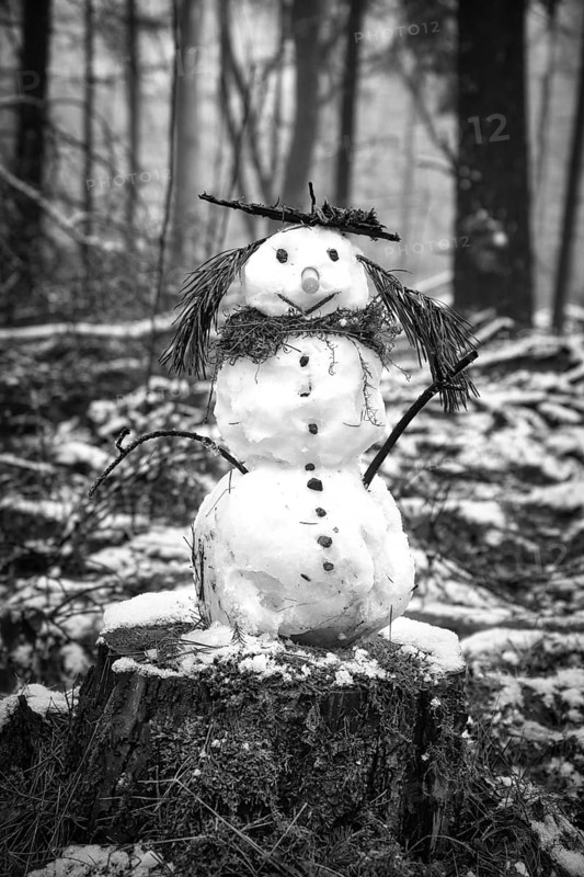 Snowman on a tree stump with a carrot for a nose, buttons, a branch for arms and pine needles for hair. In the snow-covered forest