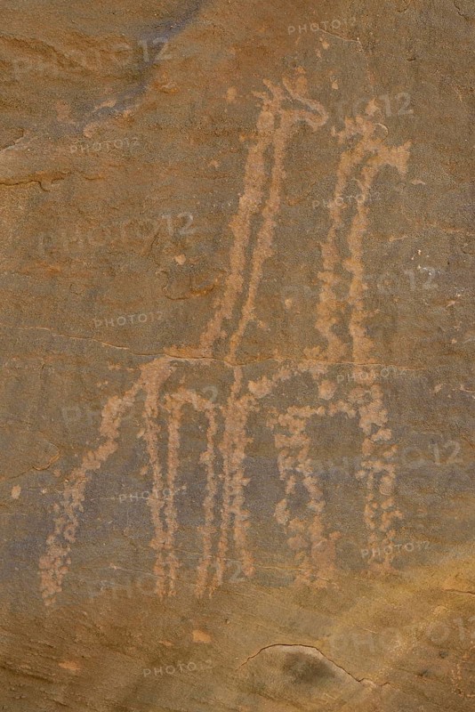 Rock engravings of two giraffes from the Neolithic period, Sabu, Nubia, Sudan, Africa