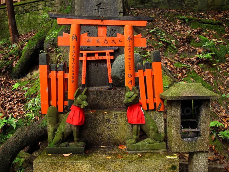 Miniature Red Gates of Torii and Fox Statues, Fushimi Inari Taisha Shrine, Kyoto, Japan, Asia