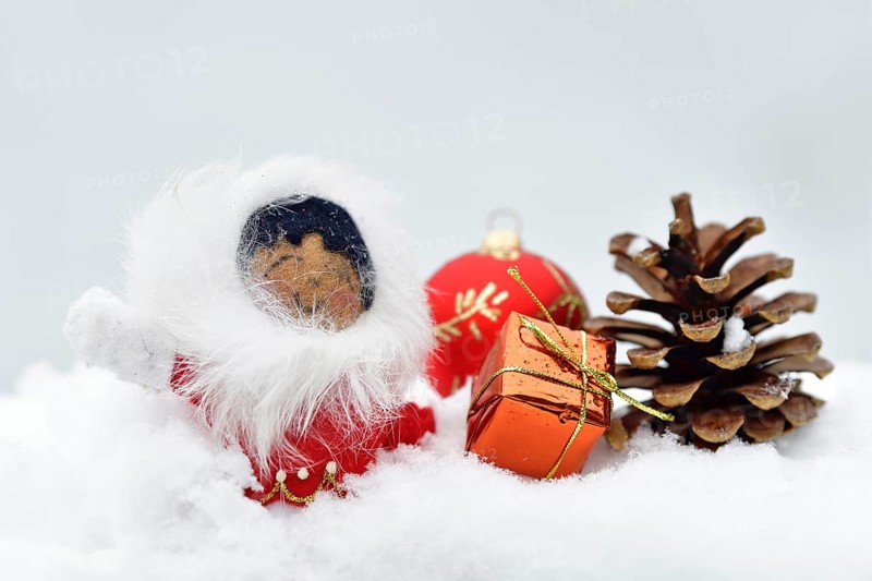 Christmas decoration, Inuit with Christmas tree ball and pine cone and Christmas present lying in the snow