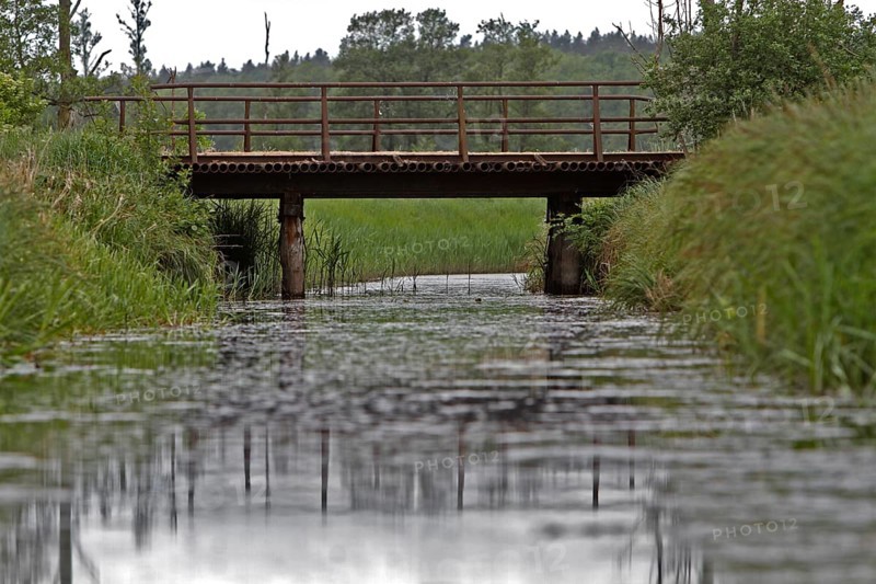 Dilapidated bridge over a moat, dilapidated infrastructure, Peene Valley River Landscape nature park Park, Mecklenburg-Western Pomerania, Germany, Europe