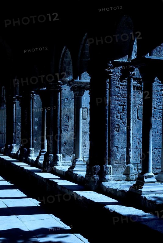 Cloister, Saint Trophime Cathedral, Arles, Bouches-du-Rhone, Provence-Alpes-Cote d'Azur, Southern France