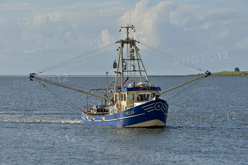Fishing boat off Pellworm island, North Frisia, Schleswig-Holstein, Germany, Europe