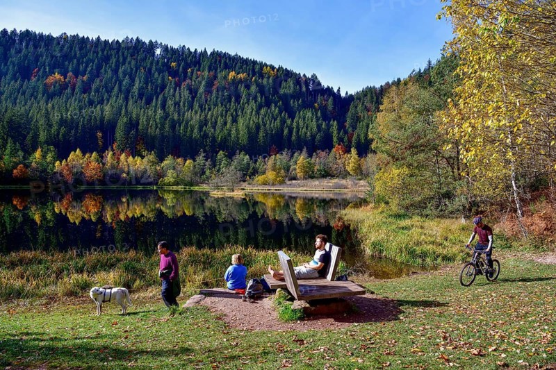 Hikers at Lake Sankenbach, Karsee, autumn, near Baiersbronn, Freudenstadt district, Black Forest, Baden-Württemberg, Germany, Europe