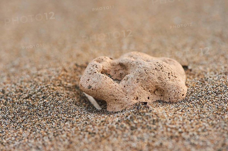 Rock lying on the beach covered with sand, "Platja del Fangar", coast, nature reserve, ebro delta, Catalonia, Spain, Europe