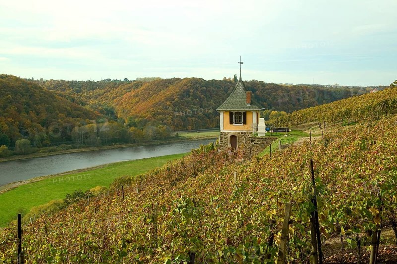 Winery near Meissen