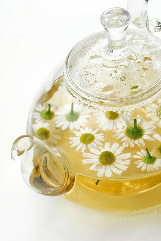 Pot with chamomile tea and chamomile flowers , German chamomile (Chamomilla recutita) (Matricaria recutita) (Matricaria chamomilla) teapot