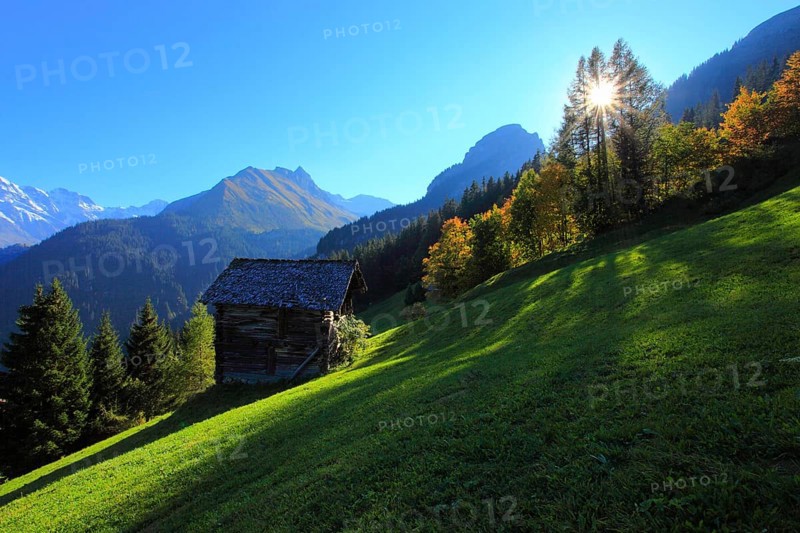 Sulwald, Lauterbrunnen Valley, Bernese Oberland, Switzerland, Europe