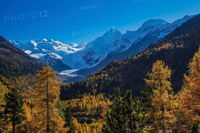 Piz Palü, 3905 m, Piz Bernina, 4049 m, Piz Morteratsch, 3751, Morteratsch Glacier, Upper Engadine, Grisons, Switzerland, Europe