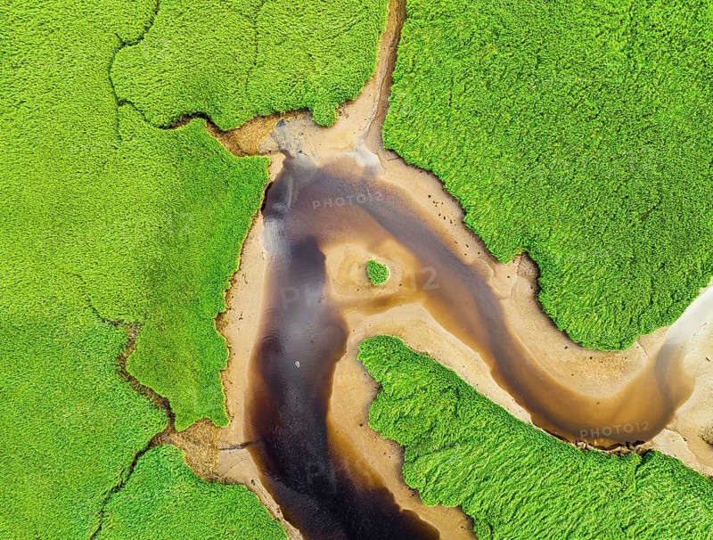 Top Down over Sharpham Meadows and Marsh over River Dart from a drone, Totnes, Devon, England, United Kingdom, Europe