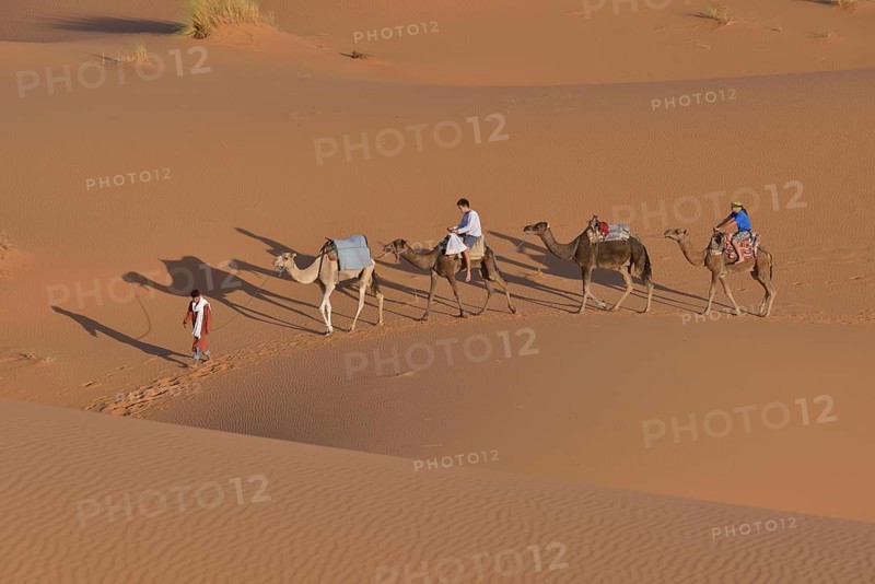 Tourists riding camels, Sahara, Meknès-Tafilalet region, Morocco, Africa
