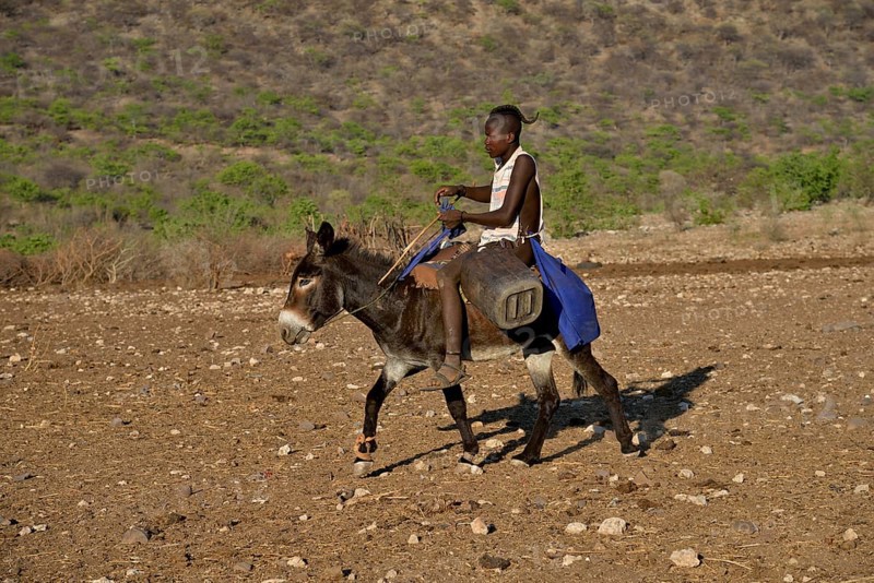 Young Himba shepherd riding on his donkey, Ombombo, Kaokoland, Kunene, Namibia, Africa
