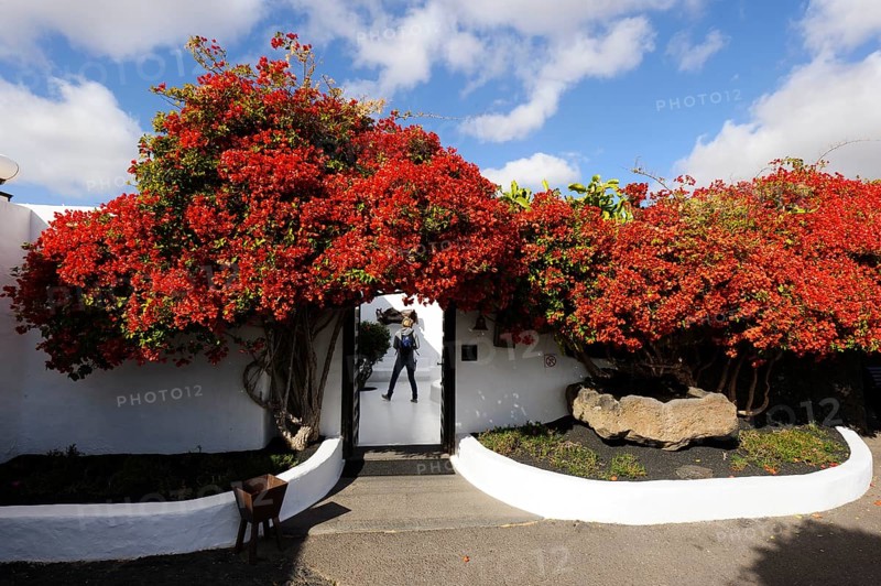Foundation Cesar Manrique, Tahiche, Lanzarote, Canary Islands, Spain, Fundacion Cesar Manrique IStiftung Cesar Manrique, Canary Islands, Fundacion Cesar Manrique, Spain, Europe
