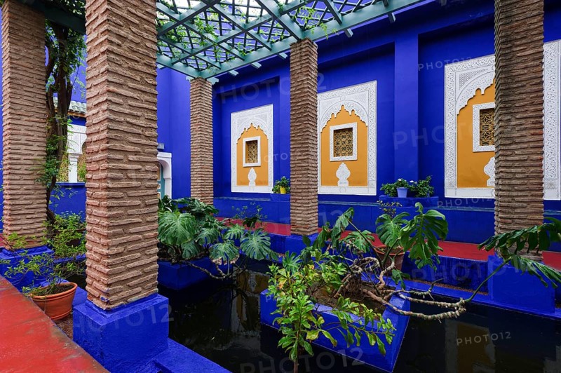 Morocco, Jardin Majorelle Botanical Garden in Marrakech, Africa