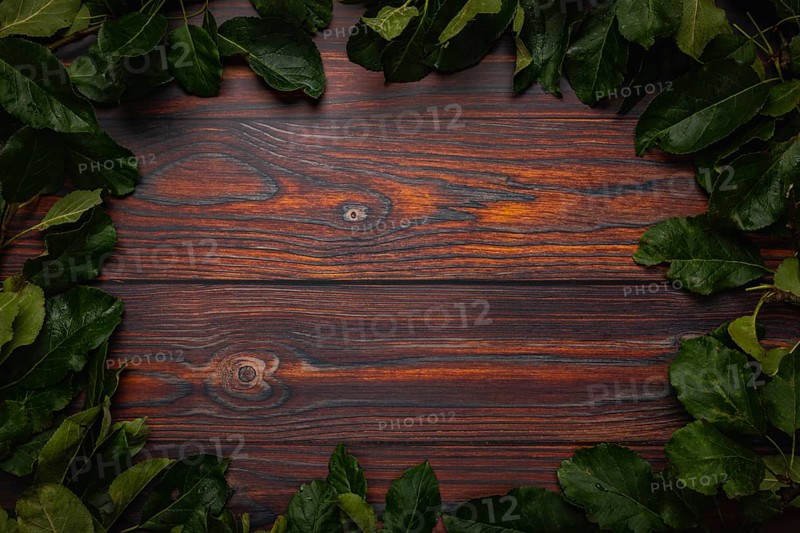Frame of apple tree leaves on wood, copying room