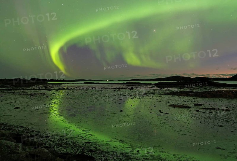 Northern lights (aurora borealis) cover the sky and are reflected in the water of a fjord, Alstahaug, coastal road 17, Nordland, Norway, Europe