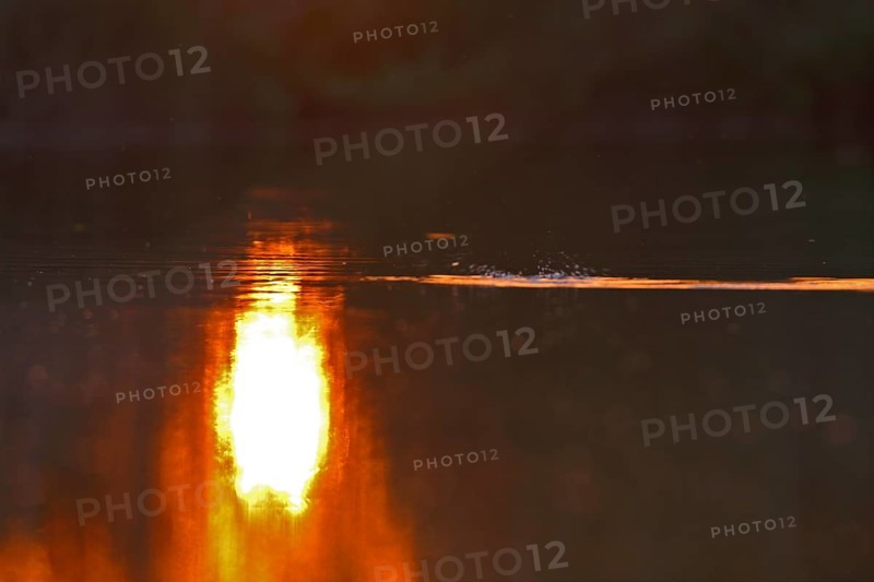 The sun's play of light in the water at sunset on the Trebel River, Peene Valley River Landscape nature park Park, Mecklenburg-Western Pomerania, Germany, Europe