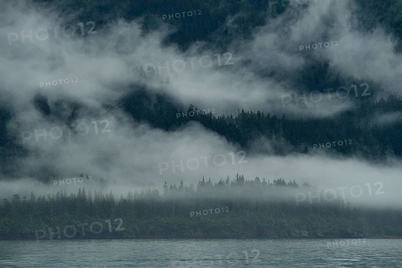 The westerly wind pushes the clouds against the steep slopes of the Chugach Mountains, the moisture nourishes the rainforest, Prince William Sound, Alaska, USA, North America