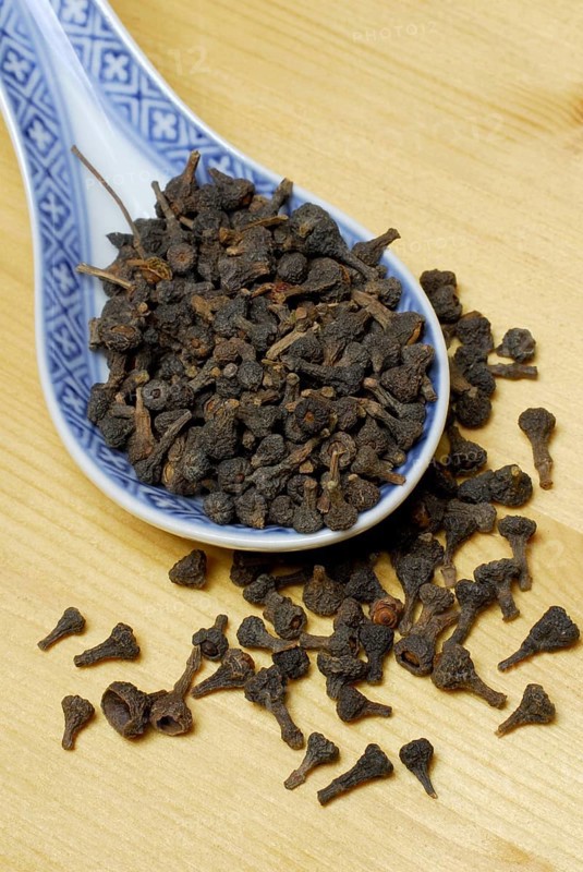 Cinnamon blossoms (Cinnamomum cassiae) (Cinnamomum aromaticum) cinnamon, cinnamon cloves, cassia bud, chinese cinnamon