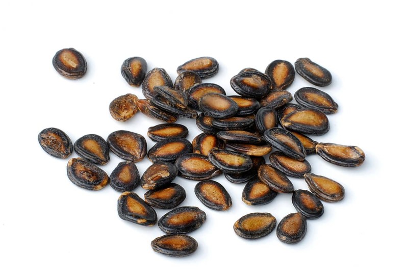 Black melon seeds, melon seeds