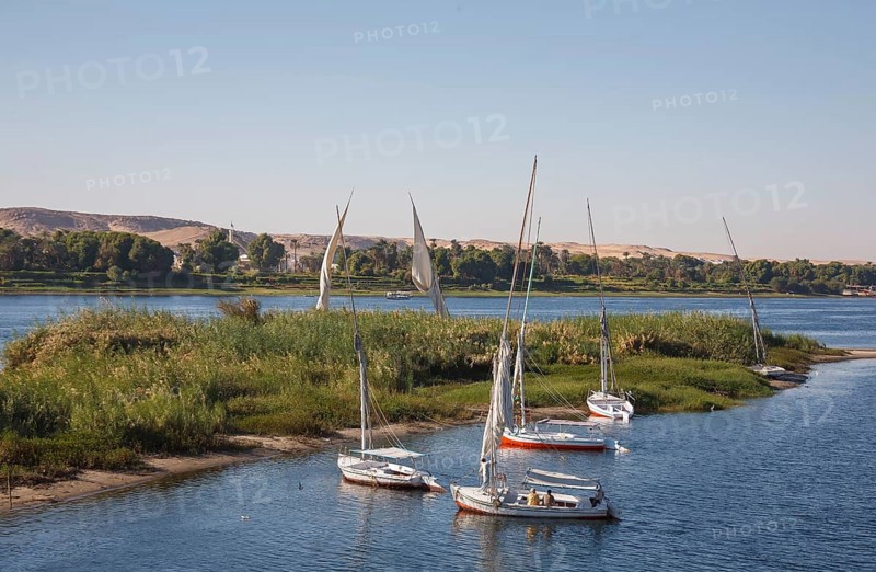 Feluccas, excursion boats on the Nile, Egypt, Africa