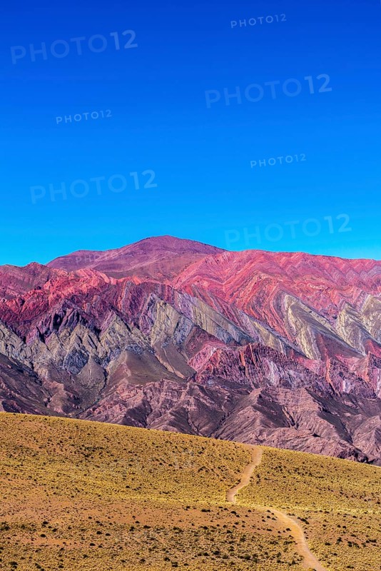 Cerro de 14 colores, Mountains of 14 Colours, Andes, altitude 4350m, Quebrada de Humahuaca, Humahuaca Valley, UNESCO World Heritage Site, mountain landscape, tourist attraction, geological rock formation, puna vegetation, trail, Jujuy Province, Argentina, South America