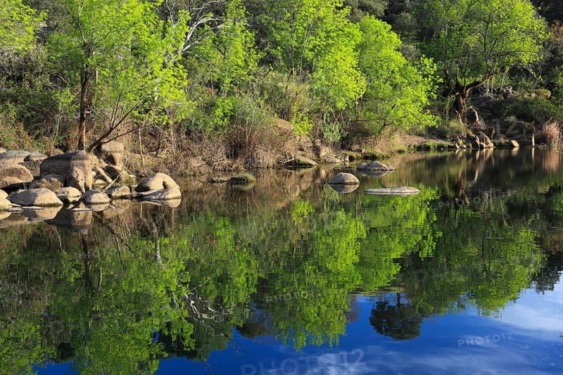 Rio Jandula, Sierra de Andujar National Park, Jaon Province, Andalusia, Spain, Europe