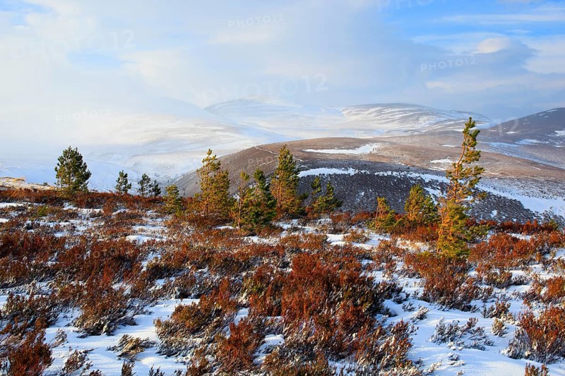 Cairngorms Mountains, Cairngorms National Park, Scotland, United Kingdom, Europe