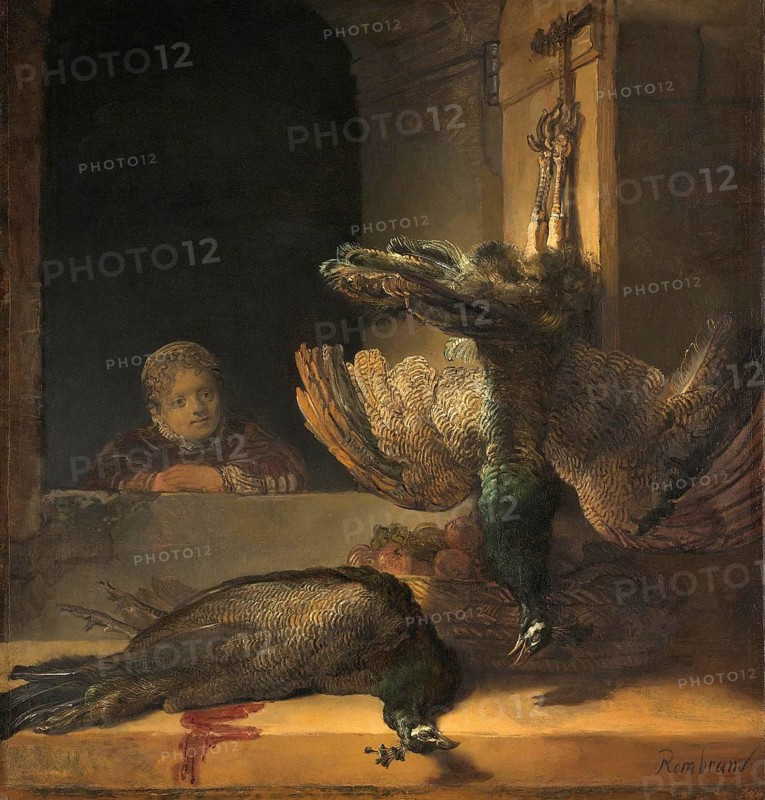 Still Life with Peacocks, in Rembrandt's time peacocks were eaten by the wealthy, Painting by Rembrandt van Rijn (1606) (1669), Historic, digitally enhanced reproduction of an original from the period