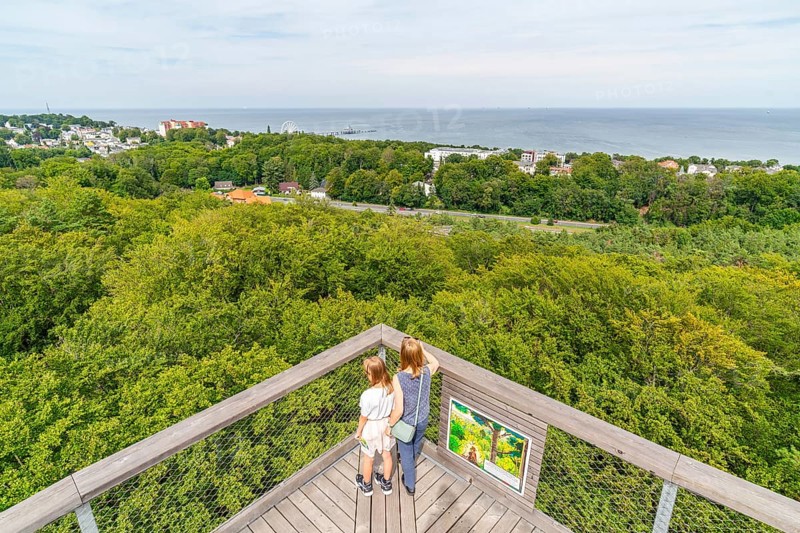 Woman and girl looking from the treetop walk Usedom to the Baltic Sea, Baltic resort Heringsdorf, Island Usedom, Mecklenburg-Vorpommern, Germany, Europe