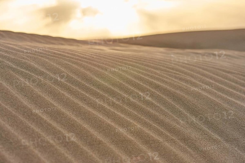 Beach "Platja del Fangar", sand dunes, Vegetation, nature reserve, ebro delta, Catalonia, Spain, Europe