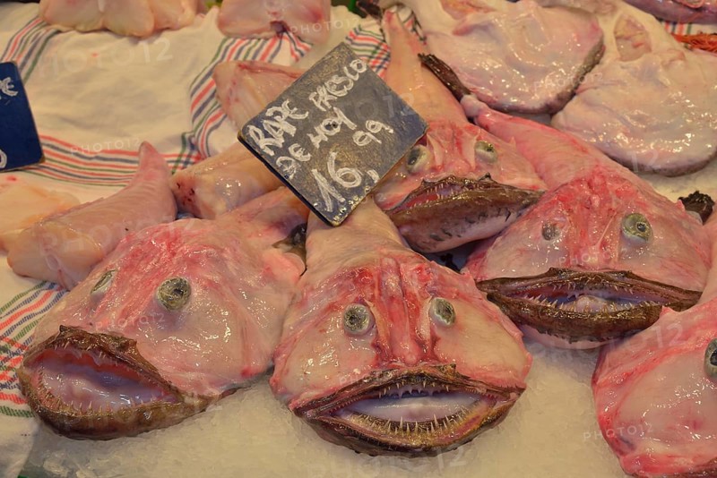 Monkfish, Mercat Municipal de l'Olivar municipal market, Palma, Mallorca, Balearic Islands, Spain, Europe
