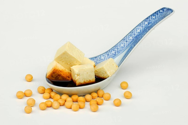 Tofu cubes with sauce on spoon, curd, bean curd, sauce, sauce, Sojabean