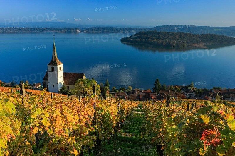 Ligerz on Lake Biel, Bern, Switzerland, Europe
