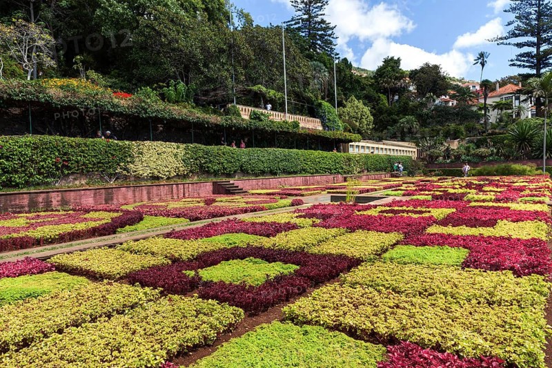 Flowerbeds and plants laid out as samples, Funchal Botanical Garden, Jardim Botanico, Madeira, Portugal, Europe