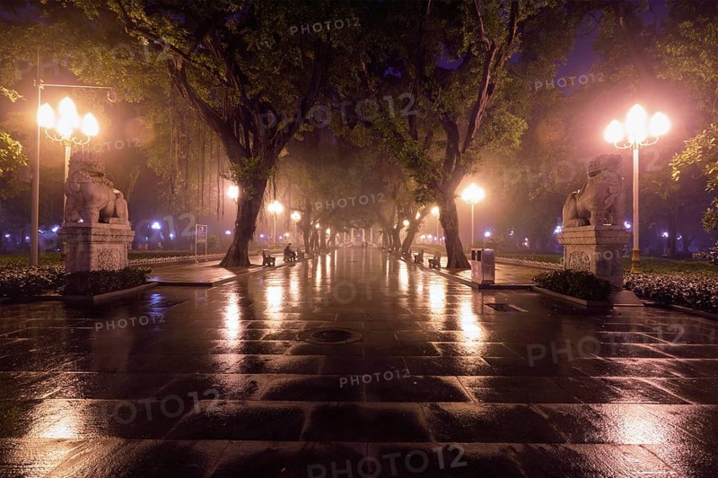 Guangzhou People's Park with mist fog at night. Guangzhou, China, Asia