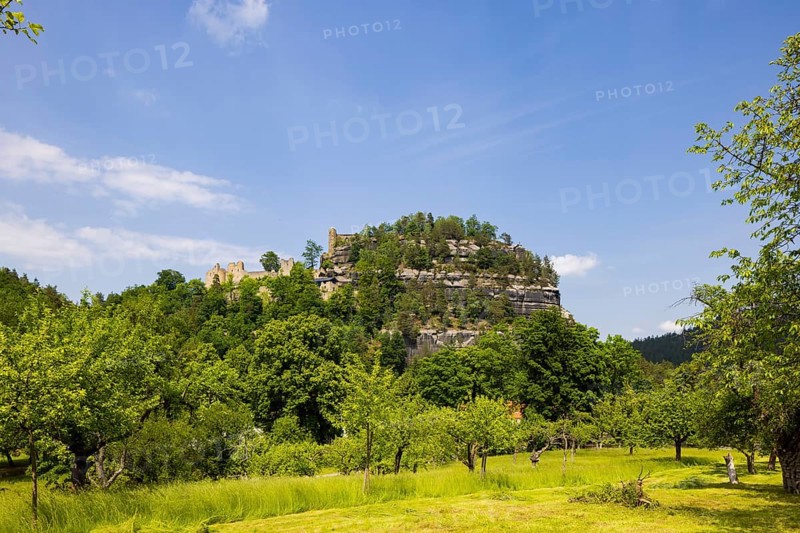 Oybin Castle and Monastery Ruins
