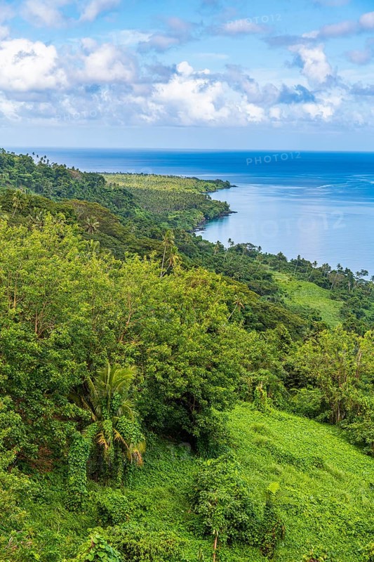Overlook over the coastline of Taveuni, Fiji, South Pacific, Oceania
