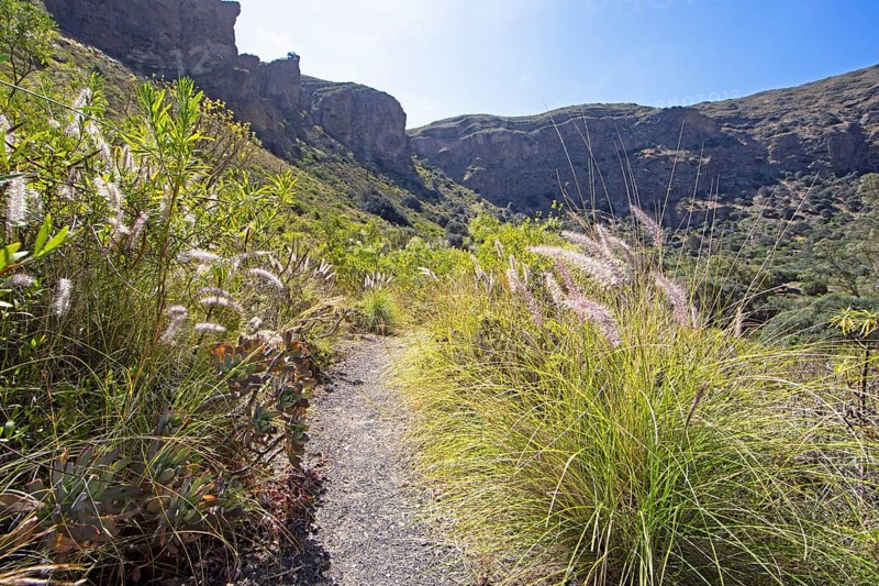 Camino Real or King's Path in the Caldera de Bandama in the Bandama Natural Park or Monumento Natural de Bandama, Las Palmas Province, Gran Canaria, Canary Islands, Spain, Europe