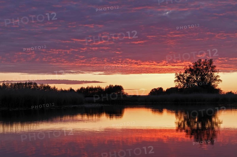 Clouds in the sunset with reflection on the river Trebel, Naturpark Flusslandschaft Peenetal, Mecklenburg-Western Pomerania, Germany, Europe